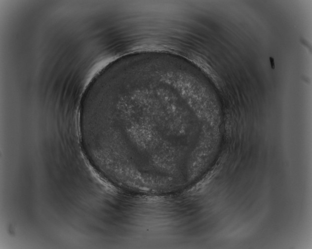 X0000092251030200710121255
