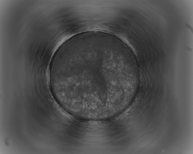 X0000092251032200710121255