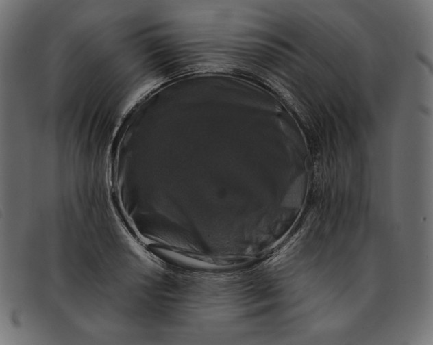 X0000092251034200710121255