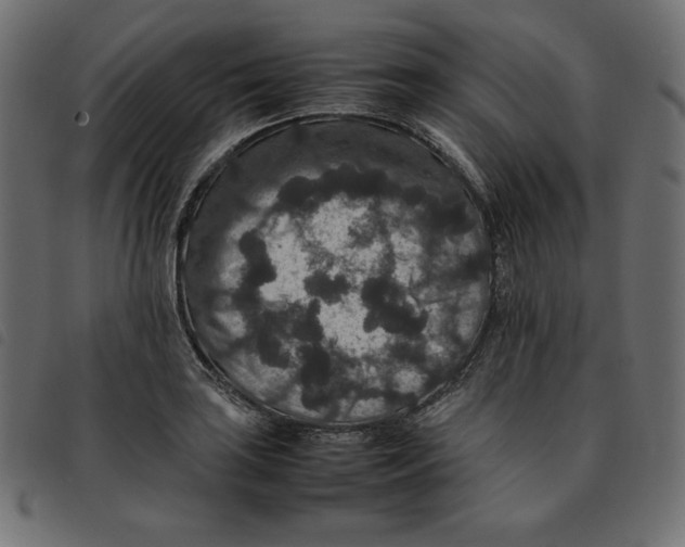 X0000092251035200710121255