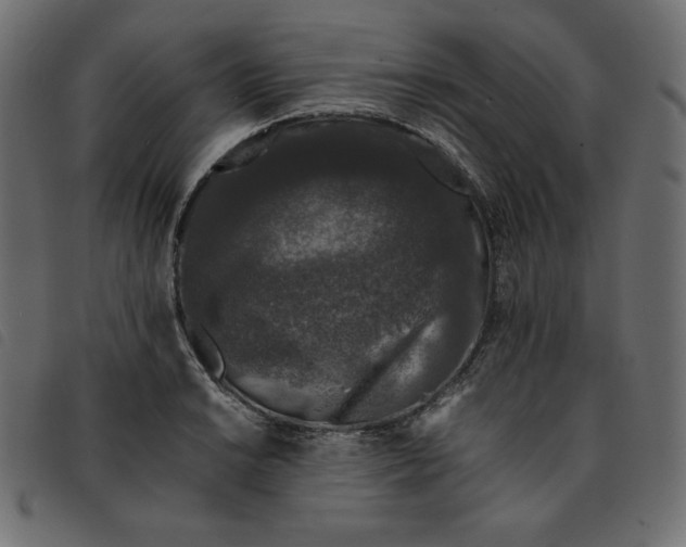 X0000092251038200710121255