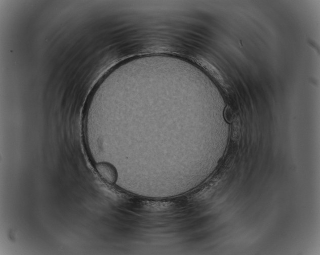 X0000092251039200710121255