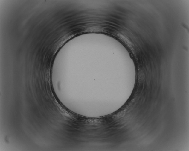 X0000092251041200710121255
