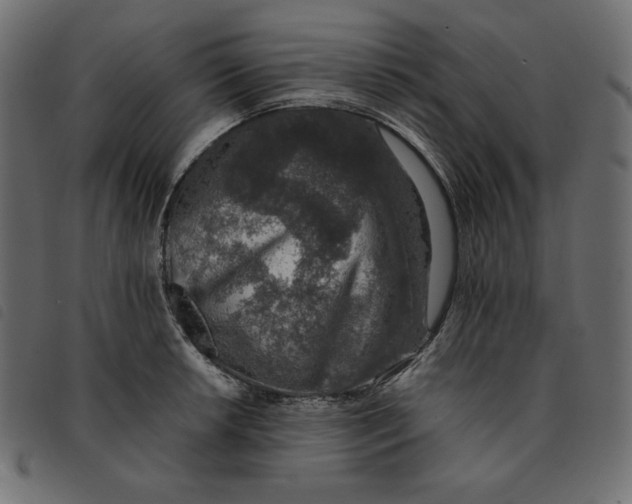 X0000092251042200710121255