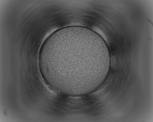 X0000092251043200710121255