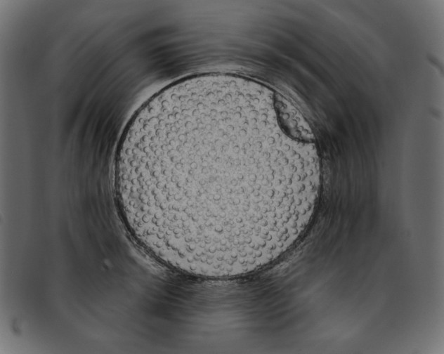 X0000092251044200710121255