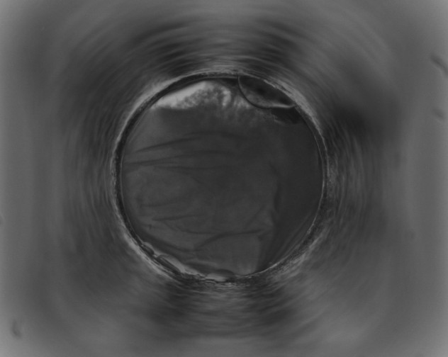 X0000092251045200710121255