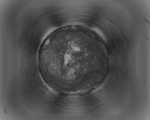 X0000092251046200710121255
