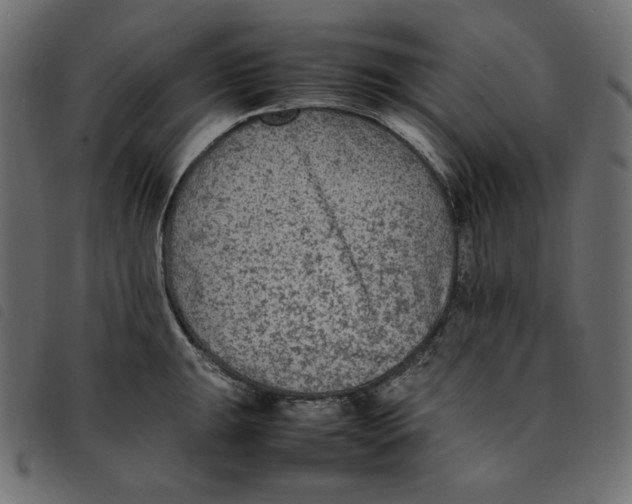 X0000092251047200710121255