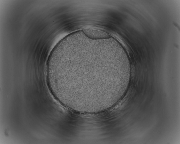X0000092251048200710121255