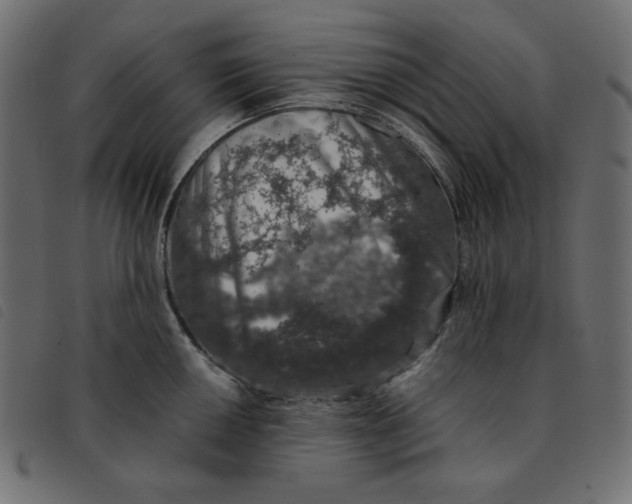 X0000092251050200710121255