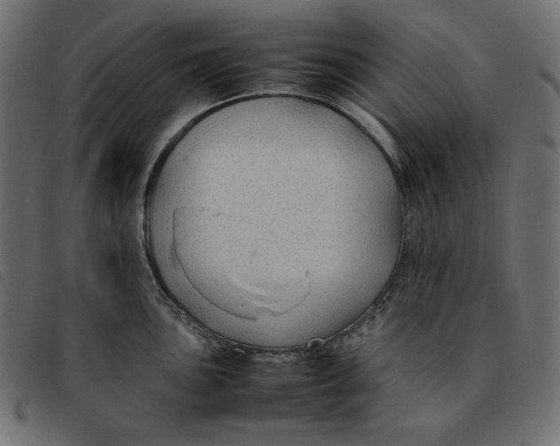 X0000092251051200710121255