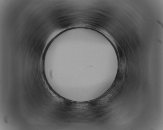 X0000092251053200710121255