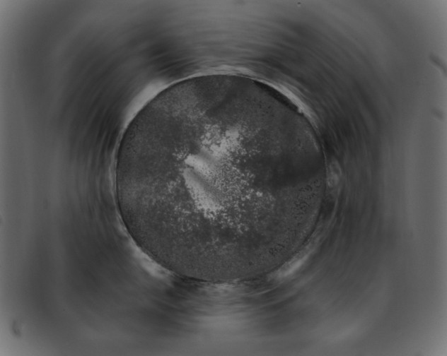 X0000092251054200710121255
