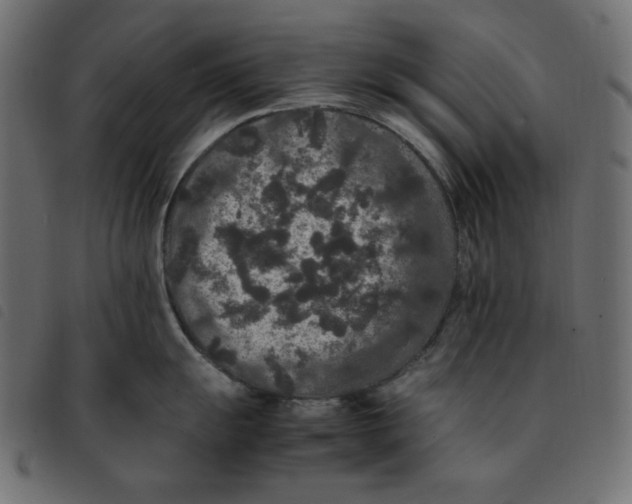 X0000092251055200710121255