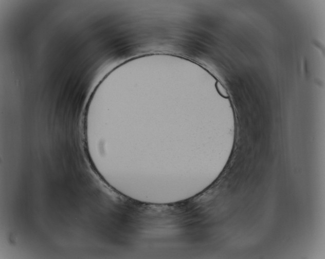 X0000092251056200710121255