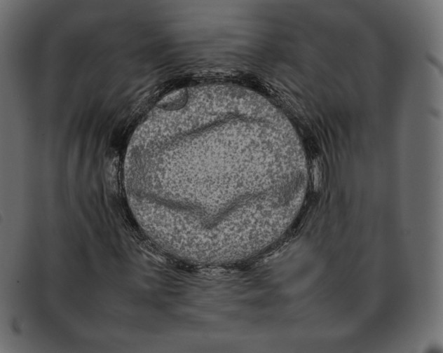 X0000092251059200710121254