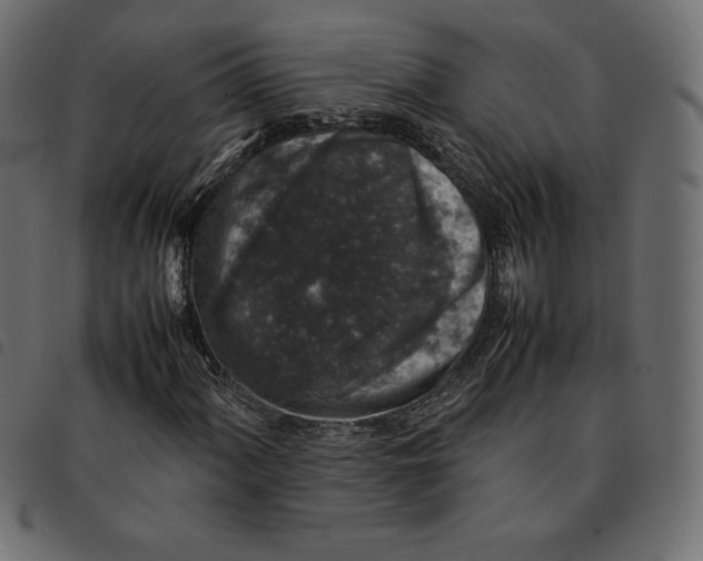X0000092251060200710121254