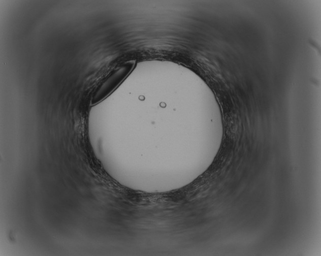 X0000092251061200710121254