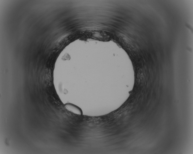 X0000092251062200710121254