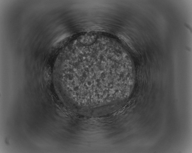 X0000092251063200710121254