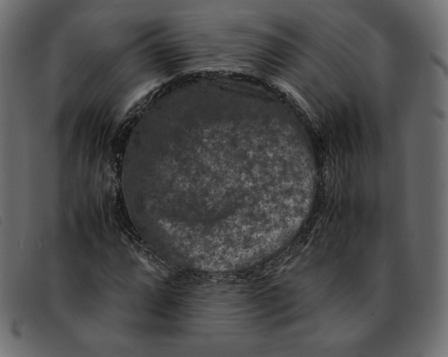 X0000092251064200710121254