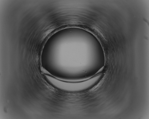 X0000092251065200710121254
