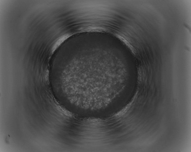 X0000092251066200710121254