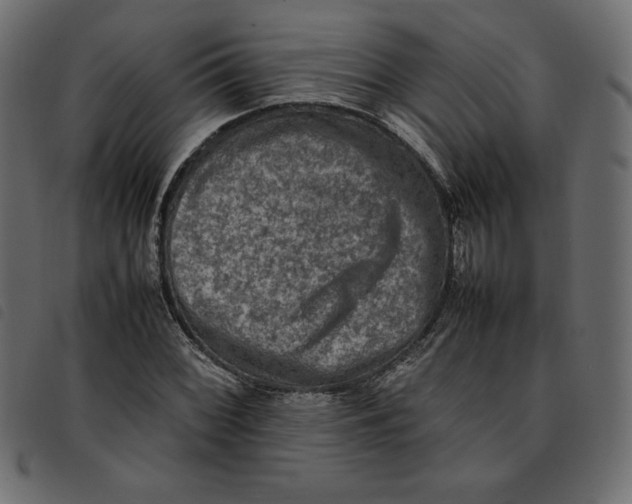 X0000092251068200710121254