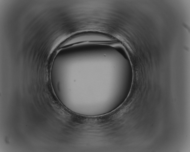 X0000092251069200710121254