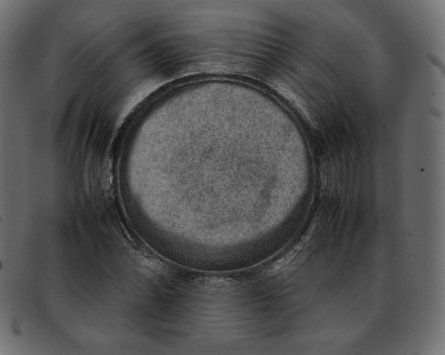 X0000092251070200710121254
