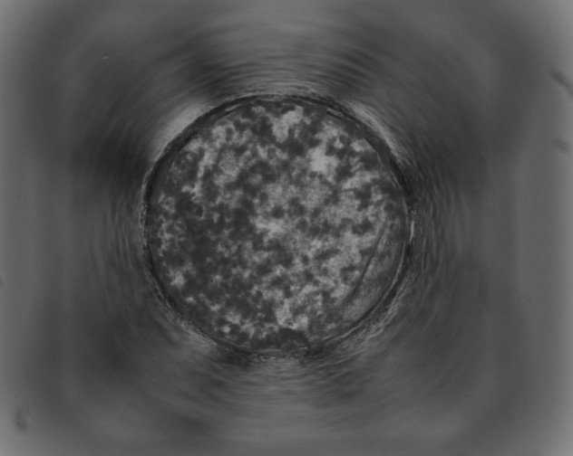 X0000092251071200710121254