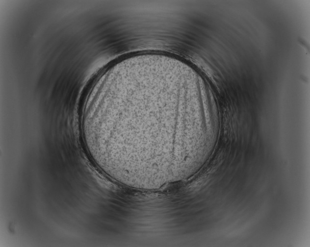 X0000092251072200710121254