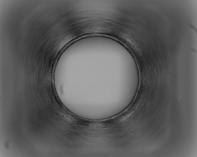 X0000092251073200710121254