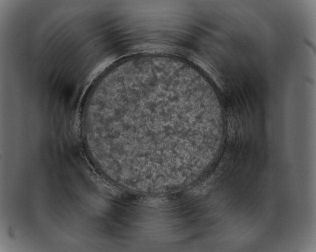 X0000092251074200710121254