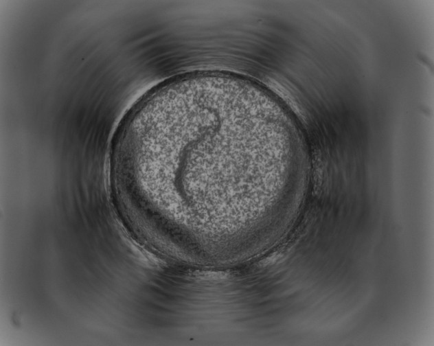 X0000092251076200710121254