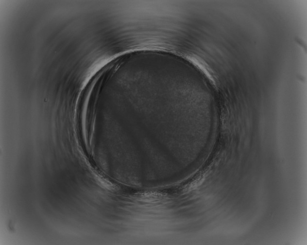 X0000092251077200710121254