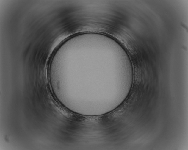 X0000092251078200710121254