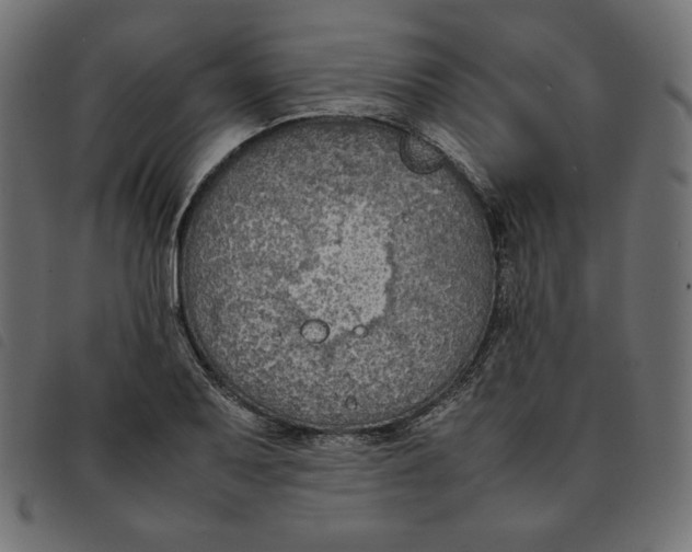 X0000092251079200710121254