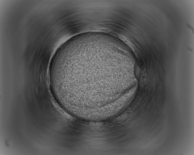 X0000092251080200710121254