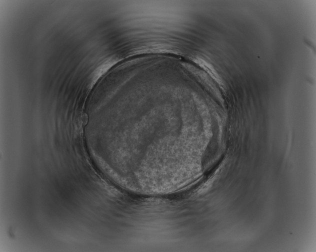 X0000092251081200710121254