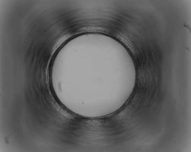 X0000092251082200710121254