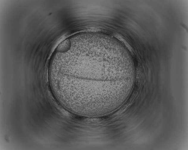 X0000092251083200710121254
