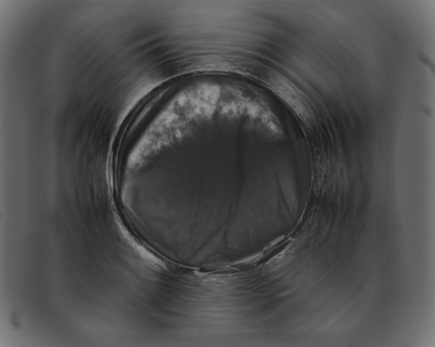 X0000092251084200710121254