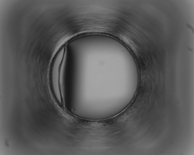 X0000092251085200710121254