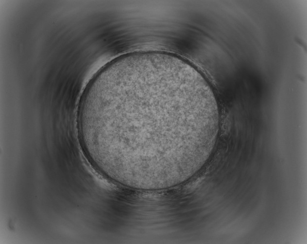 X0000092251086200710121254