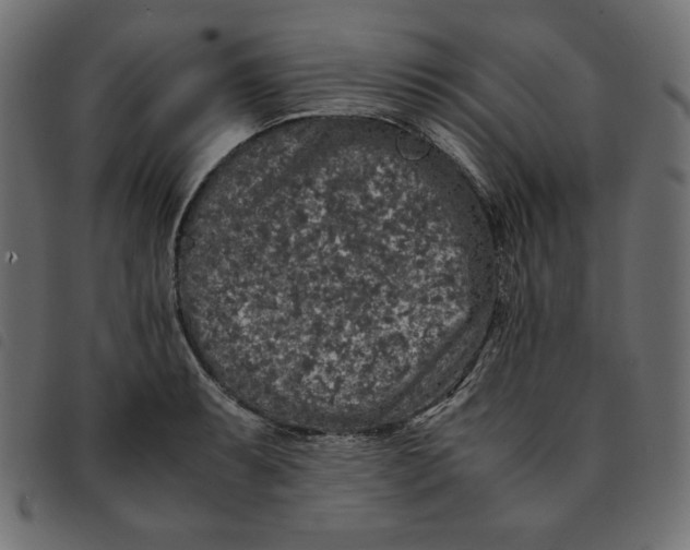 X0000092251087200710121254