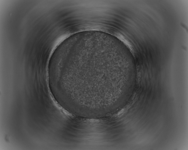 X0000092251088200710121254