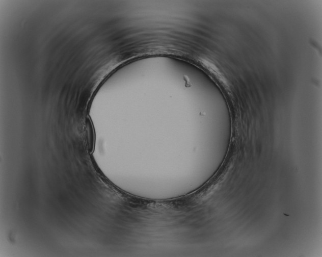 X0000092251089200710121254