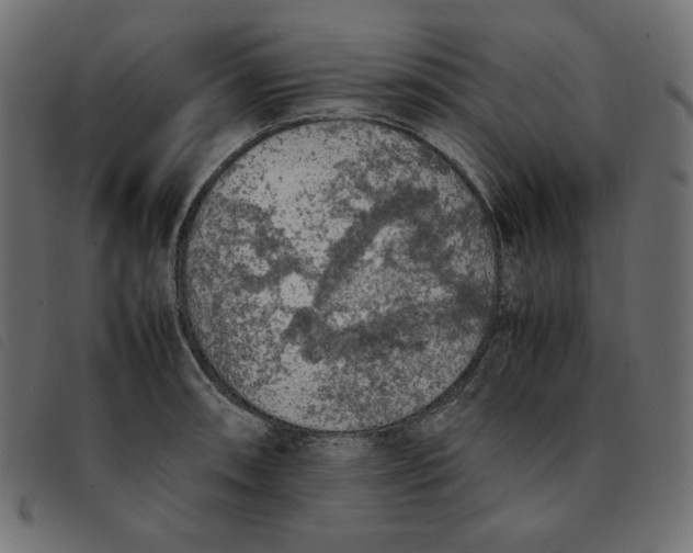 X0000092251090200710121254